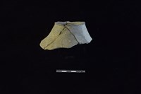 陶片藏品圖，第1張